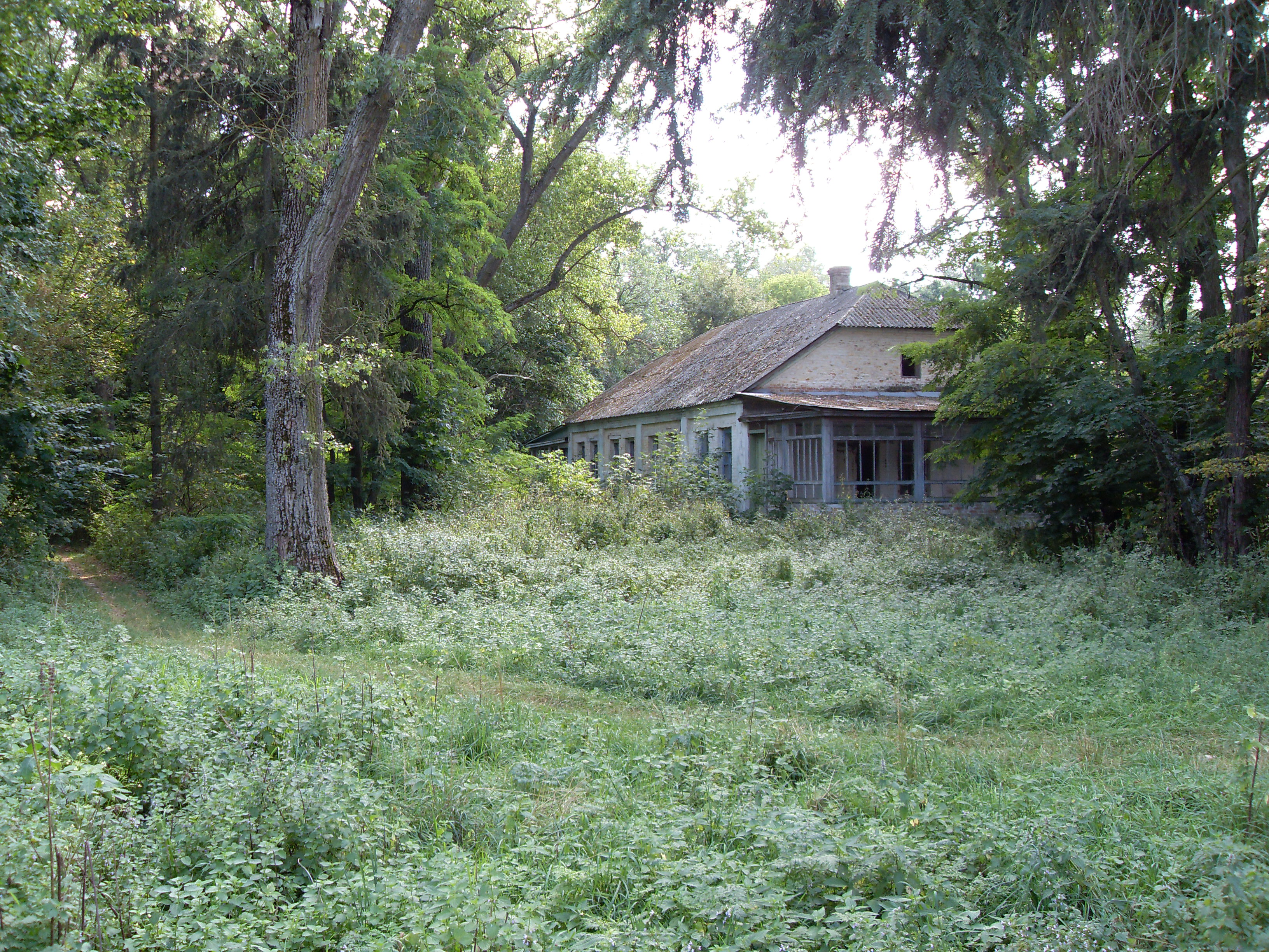 SDC10091