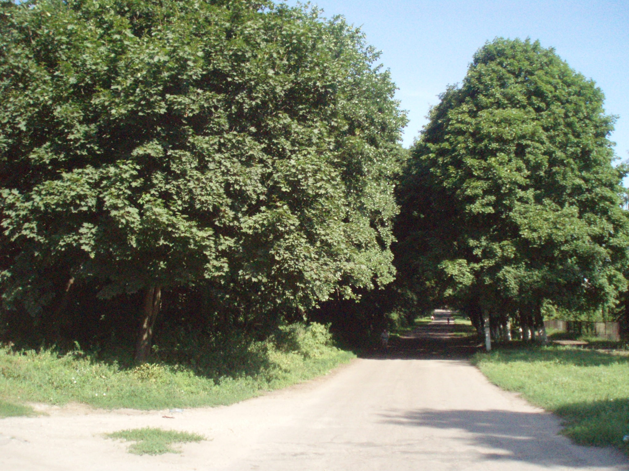 parkshevah2