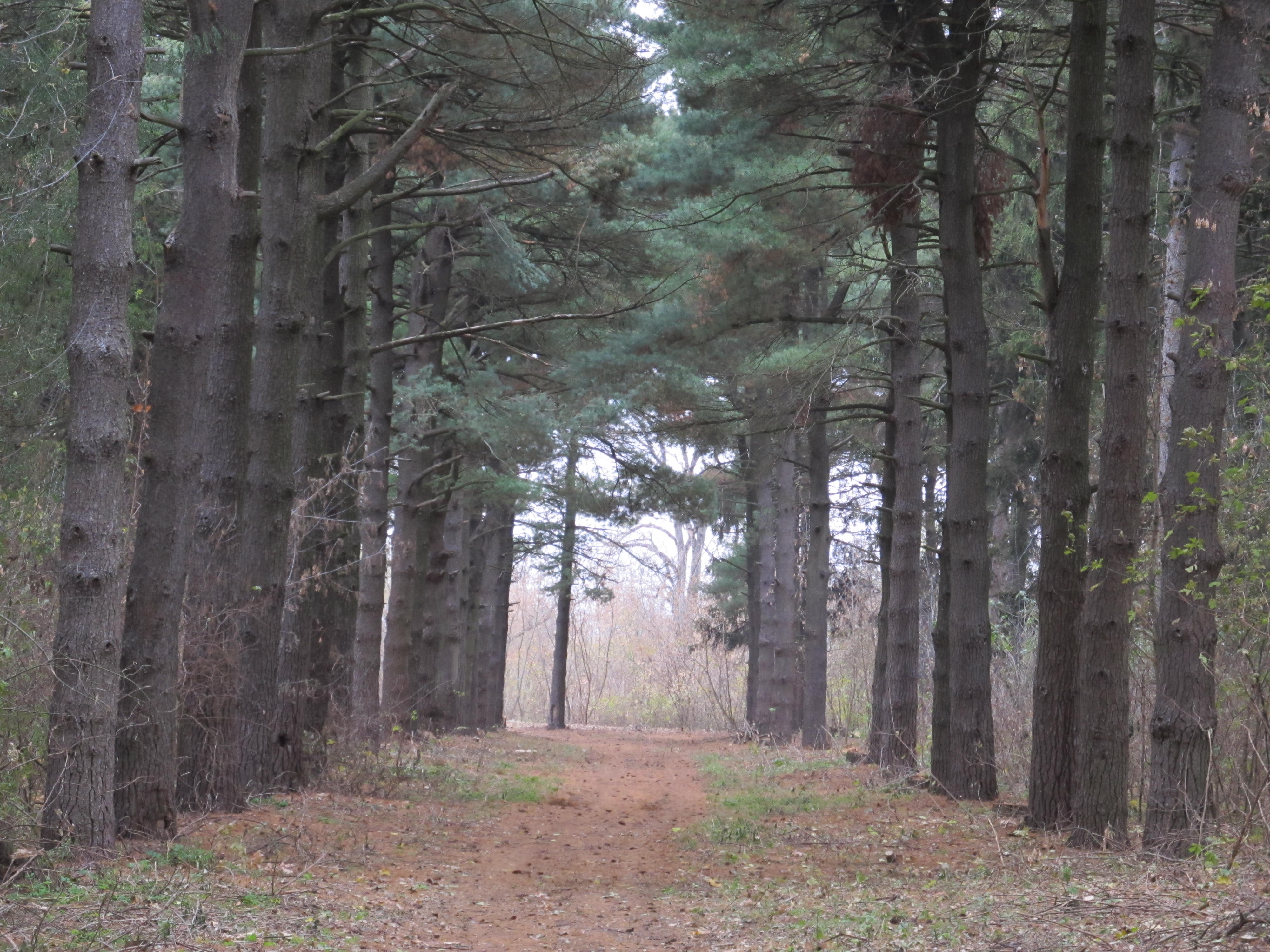 park