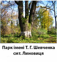 LinovParkShevchenka