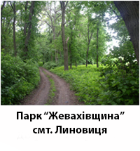 ParkShevashiLin