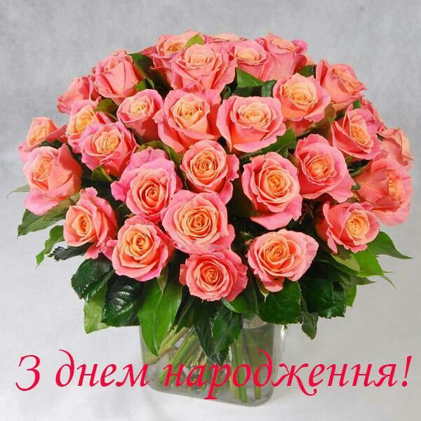 f13e1da8ae6cdb43cecba1e3a746d9a2